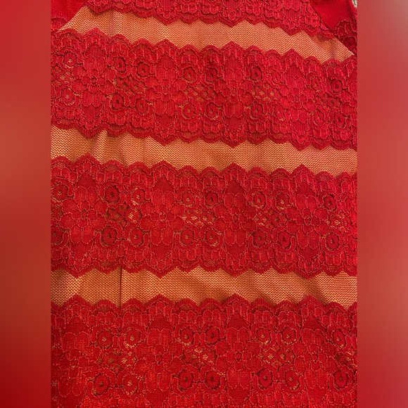 Red Lace Dress with Nude Slip - Picture 3 of 4